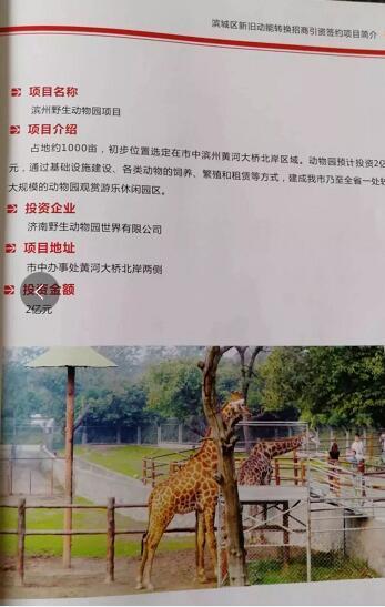厲害了我的大濱州，15個(gè)招商引資項(xiàng)目集中簽約！